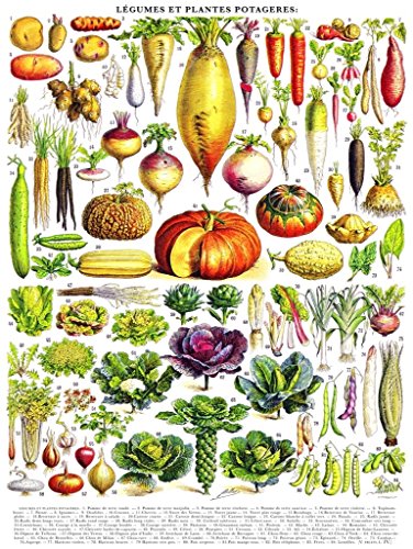 【中古】【未使用・未開封品】New York Puzzle Company ヴィンテージイメージベジタブル L?gumes 1000ピース ジグソーパズル｜AJIMURA-SHOP