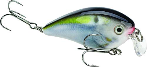 【中古】【未使用・未開封品】Strike King KVD 1.5 Shallow Square Bill Crankbait｜AJIMURA-SHOP
