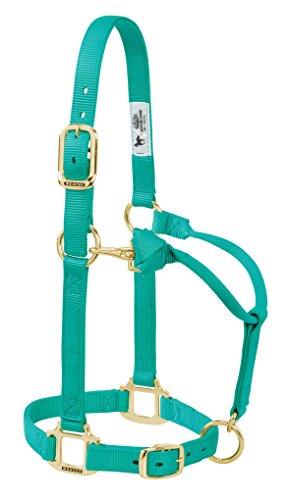【中古】【未使用・未開封品】(Weanling, Emerald Green) - Weaver Leather Adjustable Horse Halter|AJIMURA-SHOP