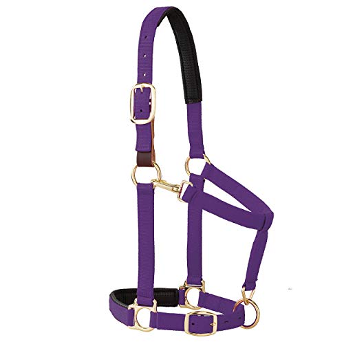 【中古】【未使用・未開封品】(Purple) - Weaver Leather Padded Breakaway Adjustable Chin & Throat Snap Halter, 2.5cm Average Horse or Yearling Draught 16,362円