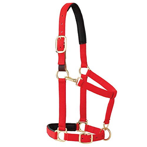 【中古】【未当て嵌める・未開封品】(Red) - Weaver Leather Padded Breakaway Adjustable Chin \u0026 Throat Snap Halter, 2.5糎 Average Horse or Yearling Draught