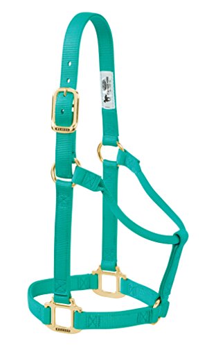 【中古】【未当て嵌める・未開封品】(Average Horse, Emerald Green) - Weaver Leather Non-Adjustable Halter
