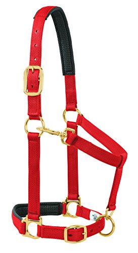 【中古】【未当て嵌める・未開封品】Weaver Leather パッド入り口・入口 合わせる能力のあるなあごと喉のスナップホルター 押しならす1in 馬または年輪の下描き ソリッドレッド