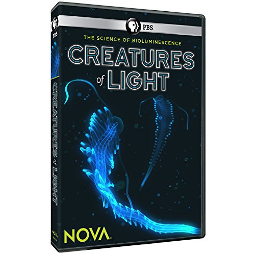 【中古】【未使用・未開封品】Nova: Creatures of Light [DVD] [Import]