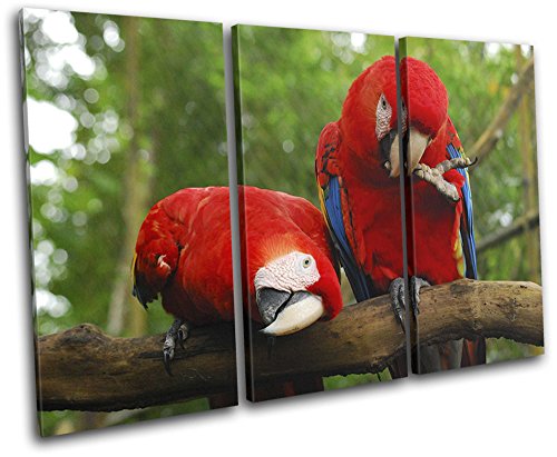 【中古】【未使用・未開封品】太字ブロックデザイン???Parrot Bird Paradise動物Trebleキャンバスアートプリントボックスフレーム壁吊り下げ???Hand Made In The UK??