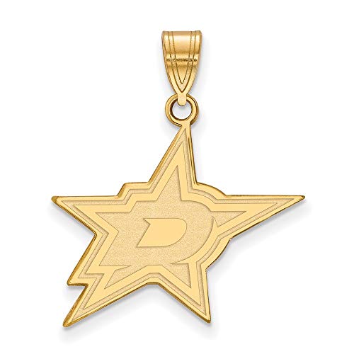 【中古】【未使用・未開封品】Dallas Stars Large (3?/ 4インチ)ペンダント(10?Kイエローゴールド)