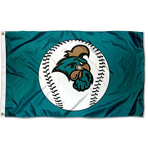 【中古】【未使用・未開封品】CCU Chanticleers野球ロゴフラグ