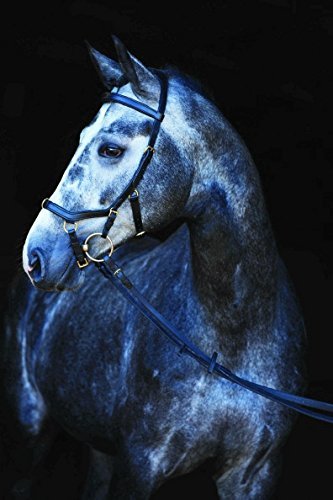 【中古】【未使用・未開封品】ランボーMicklem MultiBridle Large Horse｜AJIMURA-SHOP