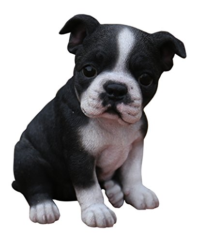 【中古】【未使用・未開封品】Hi-Line Gift Ltd Sitting Boston Terrier Puppy Statue