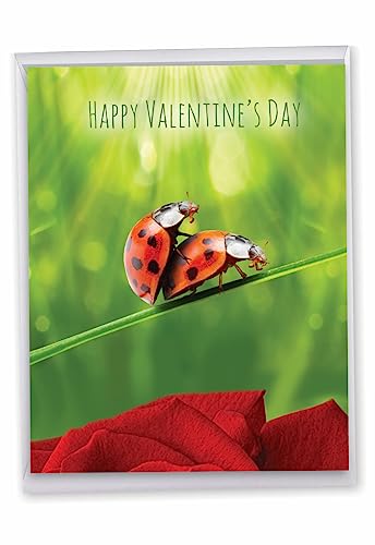 【中古】【未使用・未開封品】てんとう虫Loveバレンタインの日ユーモア用紙カード 1 Jumbo Valentine's Day Card & Enve. (J3516VDG)