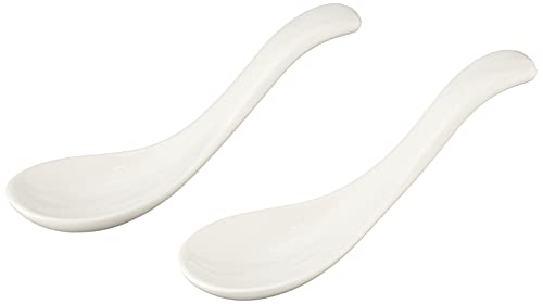 【中古】【未使用・未開封品】Villeroy and Boch Soup Passion Asia Spoon : Set of 2|AJIMURA-SHOP