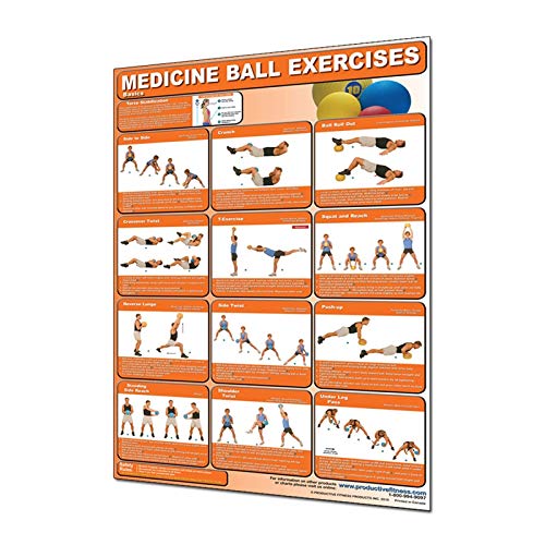 【中古】【未使用・未開封品】Productive Fitness Poster Series Medicine Ball Basic Exercises Laminated｜AJIMURA-SHOP 20,623円