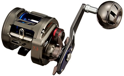 楽天市場】ダイワ ベイトリール ソルティガ BJ 200H 2017モデル (右巻