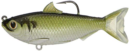 【中古】【未当て嵌める・未開封品】(11糎 , Green/Bronze) - LIVE TARGET Threadfin Shad Soft Plastic Swimbait