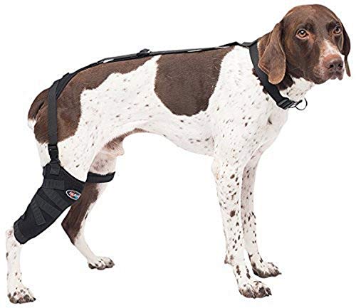 【中古】【未使用・未開封品】カルデラ ペットセラピーふくらはぎ用ロング PET208JP 中型サイズ 温冷兼用ジェルパックPG203JP 1個付き