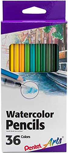 【中古】【未使用・未開封品】Arts Watercolor Pencil
