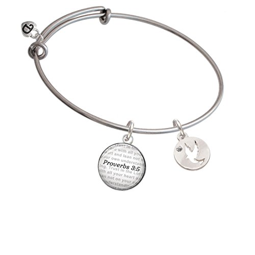 【中古】【未当て嵌める・未開封品】Dove Disc???Bible verse proverbs 3?: 5ガラスドームバングルブレスレット