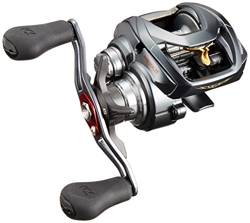 【中古】【未当て嵌める・未開封品】ダイワ(DAIWA) ベイトリール 17 スティーズ A TW 1016SH (2017ひな形)