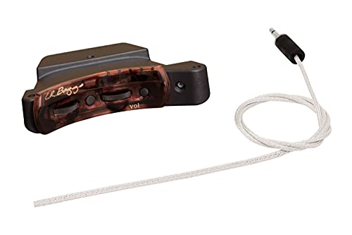 【中古】【未使用・未開封品】L.R.Baggs SESSION-VTC