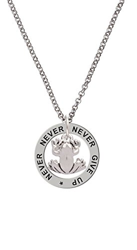 【中古】【未当て嵌める・未開封品】小さな蛙???Never Give Up Affirmation輪っか首飾り
