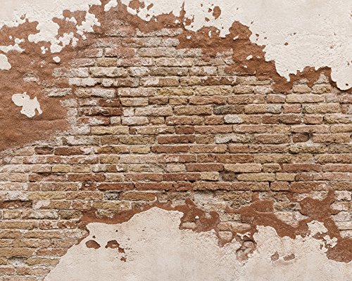 【中古】【未当て嵌める・未開封品】Wall Rogues Wr50508 3 X 2.4 M\"distressed Brick\"" Mural Wallpaper - Orange"