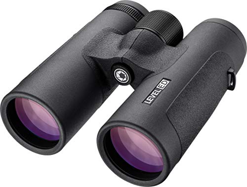  【M7A2QD6Q038】 限定デザイン