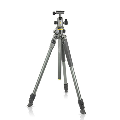 【中古】【未当てはめる・未開封品】Vanguard Alta Pro 2+ 263AB 100軽銀三脚 Alta BH-100どんぶり鉢天々とマルチアングルセンターコラム付き添い人 ソニー、ニコン、キヤノンデジタ
