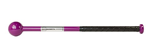 【中古】【未当て嵌める・未開封品】Sledgebats SB-23 形づくる野球バット
