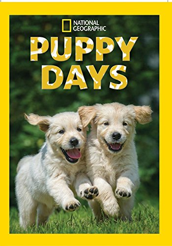 【中古】【未使用・未開封品】Puppy Days: Season 1 [DVD] [Import]