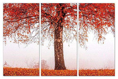 【中古】【未使用・未開封品】EpicグラフィティレッドFallingアクリル壁アート、42?" x 20?"|AJIMURA-SHOP