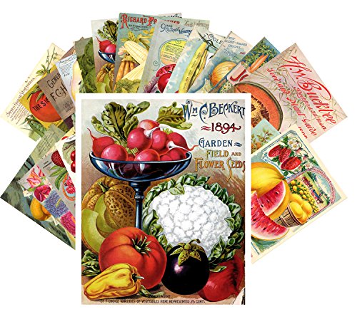 【中古】【未当て嵌める・未開封品】郵便うけ歌留多仕かける24歌留多Veges and FruitsヴィンテージシードポケットGardens パソコン・周辺機器-その他