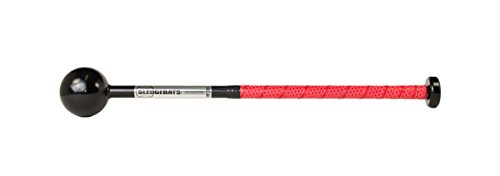 【中古】【未使用・未開封品】Sledgebats TB-19 トレーニングバット。