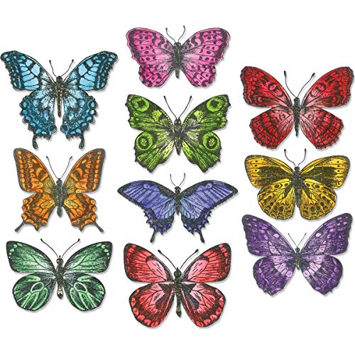 【中古】【未使用・未開封品】Sizzix 662269 Flutter by - Framelits 13,356円