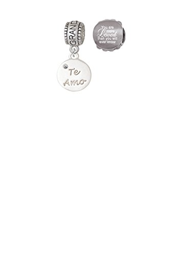 【中古】【未使用・未開封品】Te Amo Disc家族チャームビーズwith You are more Lovedビーズ( Set of 2?)