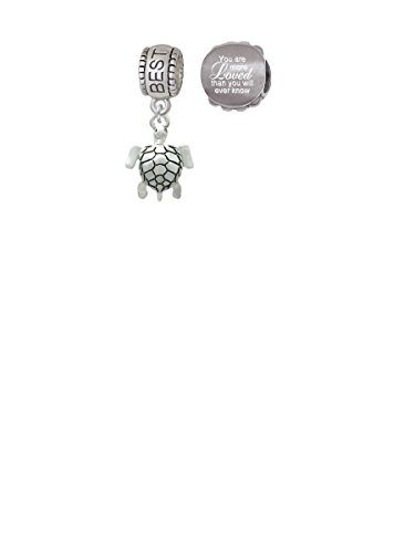 【中古】【未使用・未開封品】Sea Turtle Familyチャームビーズwith You are more Lovedビーズ( Set of 2?)|AJIMURA-SHOP