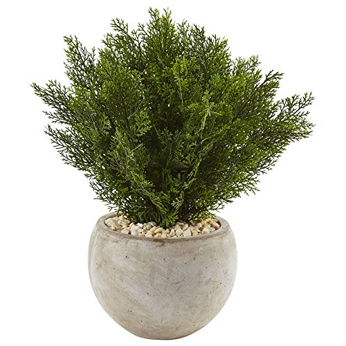 【中古】【未使用・未開封品】Nearly Natural 2フィート シダー人工植物 砂色ボウル グリーン