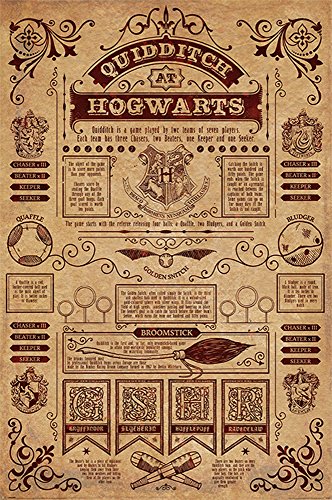【中古】【未使用・未開封品】Empireposter Harry Potter Quidditch 757043?at Hogwarts紙ポスター、91.5?X 61?cms ( 36?x 24インチ)画像