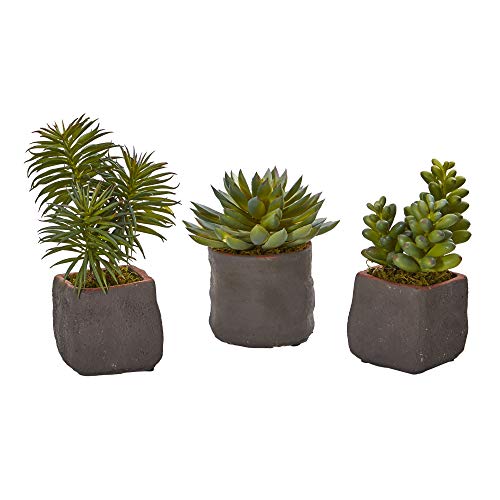 【中古】【未使用・未開封品】Nearly Natural 1種多肉植物 トリオ 人工植物 (3個セット) グリーン 3個｜AJIMURA-SHOP