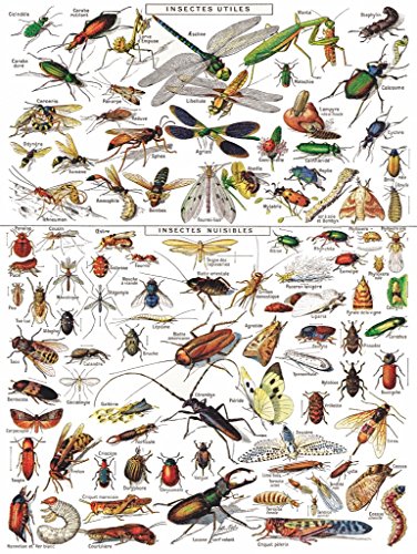 【中古】【未使用・未開封品】New York Puzzle Company - Vintage Images Insects Insectes - 1000 Piece Jigsaw Puzzle
