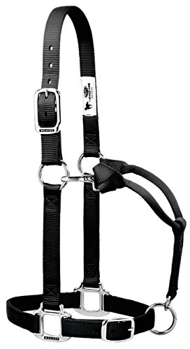 【中古】【未使用・未開封品】Weaverレザー元調節可能なナイロンHalter withクロムメッキハードウェア 1\" Average Horse