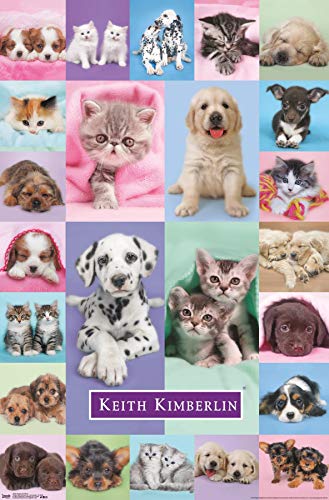 【中古】【未使用・未開封品】トレンド国際壁ポスターPuppies and Kittens、61.60?X 90.81?CM 22.375" x 34" POD16352｜AJIMURA-SHOP