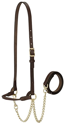 【中古】【未使用・未開封品】Weaver Leather 家畜 乳製品 ホルター M