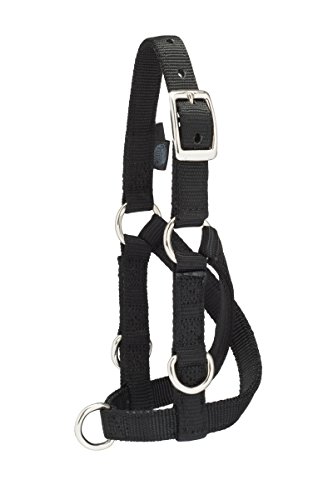 【中古】【未当て嵌める・未開封品】Weaver Leather 畜類羊と山羊 トレーニングホルター M