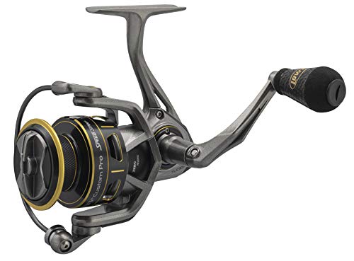 【中古】【未使用・未開封品】Lews Fishing カスタムプロスピードスピンスピニングリール ギア比6.2:1 ベアリング数12ポンド 最大ドラグ力22ポンド 両手利き対応 160/10 (TLC3