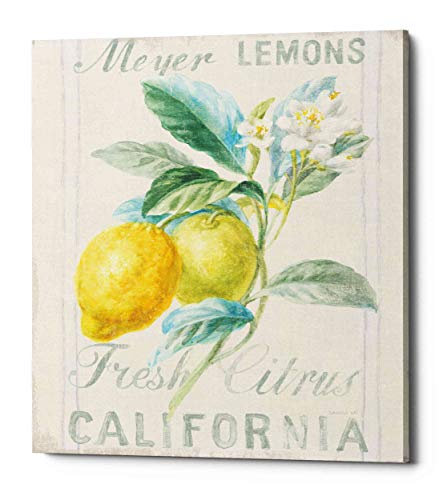 【中古】【未使用・未開封品】Danhui NAI Epic Graffiti 'Floursack Lemon II' キャンバスウォールアート 20インチ x 24インチ イエロー