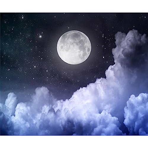 【中古】【未使用・未開封品】Laeacco 10x8フィート 曇りの夜空 写真 背景 満月 星空 背景 宇宙 宇宙 新生児 ベビーシャワー 誕生日パーティー 背景 子供部屋の壁画 子供 大人