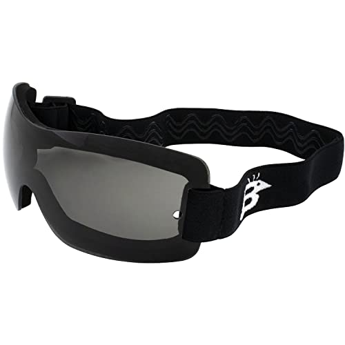【中古】【未使用・未開封品】Birdz Wren スポーツ スカイダイビング スノーボード オートバイ ライディングゴーグル スモークレンズ