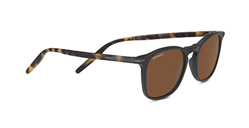 楽天市場】Lexxola レクソラ Jordy サングラス アイウェア ブラック