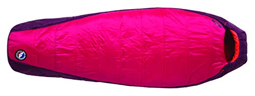 【中古】【未当て嵌める・未開封品】Big Agnes レディース サンビーム (ファイアラインエコ) 寝袋
