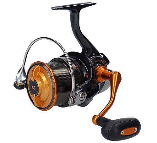 【中古】【未当て嵌める・未開封品】ダイワ(DAIWA) スピニングリール(投げ・遠投) 19 キャスティズム 25 15PE(2019ひな形)